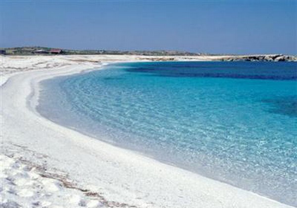 Risultati immagini per cabras sardegna