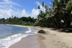 Spiaggia Patience Bay di Trinidad.jpg