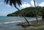 Mount Irvine Beach di Tobago