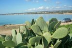 Spiaggia Sampieri di Scicli