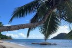 Spiaggia Anse Boudin di Praslin.jpg