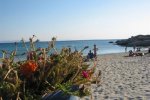 Spiaggia Mikri Vigla di Naxos