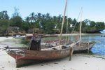 Spiaggia Kizimkazi di Zanzibar