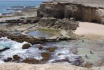 Spiaggia Little Bay di Barbados.jpg