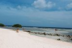 Spiaggia Mangel Halto di Aruba.jpg