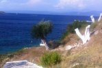 Spiaggia Plakes di Paxos.jpg