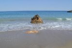Playa de s'Aigua Blanca di Ibiza