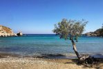 Spiaggia Ampela di Syros.jpg