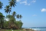 Playa Wilderness di Porto Rico