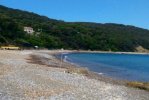 Spiaggia di Capo Castello Isola d'Elba.jpg