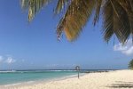Spiaggia Worthing Beach di Barbados.jpg