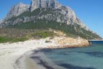 Spiaggia di Spalmatore Isola Tavolara.jpg