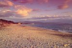 Spiaggia del Parco Costiero della Sterpaia