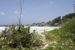 Spiaggia Grand Anse di la Digue