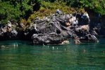 Spiaggia Ilicini di Maratea.jpg