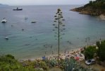 Spiaggia delle Cannelle Isola del Giglio