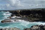 Grotta dei Fiori Animati di Barbados