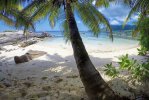 Spiaggia Anse Bougainville di Mahè.jpg