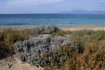 Spiaggia Almyros di Corfù