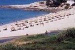 Spiaggia Livadi di Ikaria