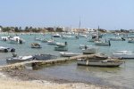 Estany d'es peix di Formentera