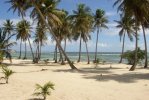 Plage de Bois Jolan di Guadalupa