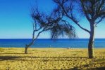 Spiaggia della Riserva del Belice.jpg