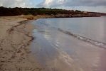 Spiaggia del Lazzaretto di Alghero.jpg