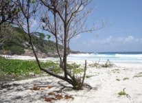 Spiaggia Petite Anse di La Digue