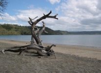 Spiaggia di Nacascolo