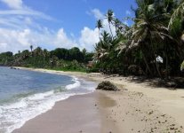 Spiaggia Patience Bay di Trinidad.jpg