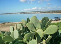 Spiaggia Sampieri di Scicli