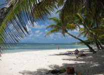 Plage Petite Anse di Guadalupa