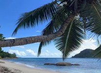 Spiaggia Anse Boudin di Praslin.jpg