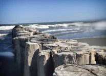 Spiaggia Bacucco di Ariano nel Polesine.jpg