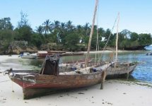 Spiaggia Kizimkazi di Zanzibar