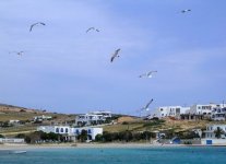 Spiaggia Pachià Ammos di Koufonissi