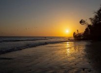 Spiaggia Quinam Beach di Trinidad.jpg