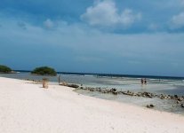 Spiaggia Mangel Halto di Aruba.jpg