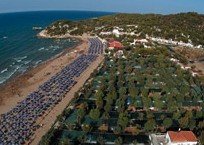 Spiaggia di Manaccora