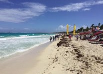 Spiaggia Saline Beach di San Barth.jpg