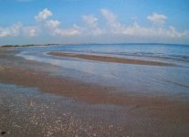 Spiaggia degli Alberoni.jpg