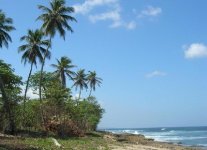 Playa Wilderness di Porto Rico