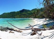 Spiaggia Anse Marie Louise di Mahè.jpg