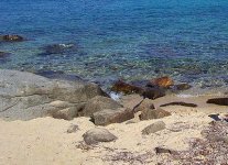 Cala dell'Arenella Isola del Giglio