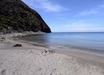 Cala della Mortola di Capraia Isola