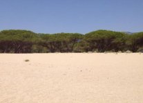 Spiaggia Su Petrosu di Orosei.jpg