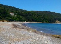 Spiaggia di Capo Castello Isola d'Elba.jpg