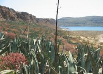 Spiagge di Gramvoussa Creta