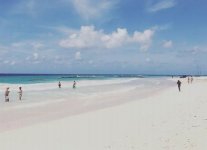 Spiaggia Maxwell Beach di Barbados.jpg